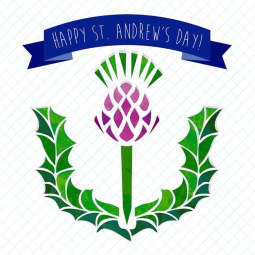 St Andrew's Day Greeting Card