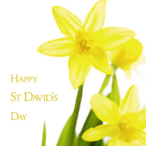 St David's Day Greeting Card